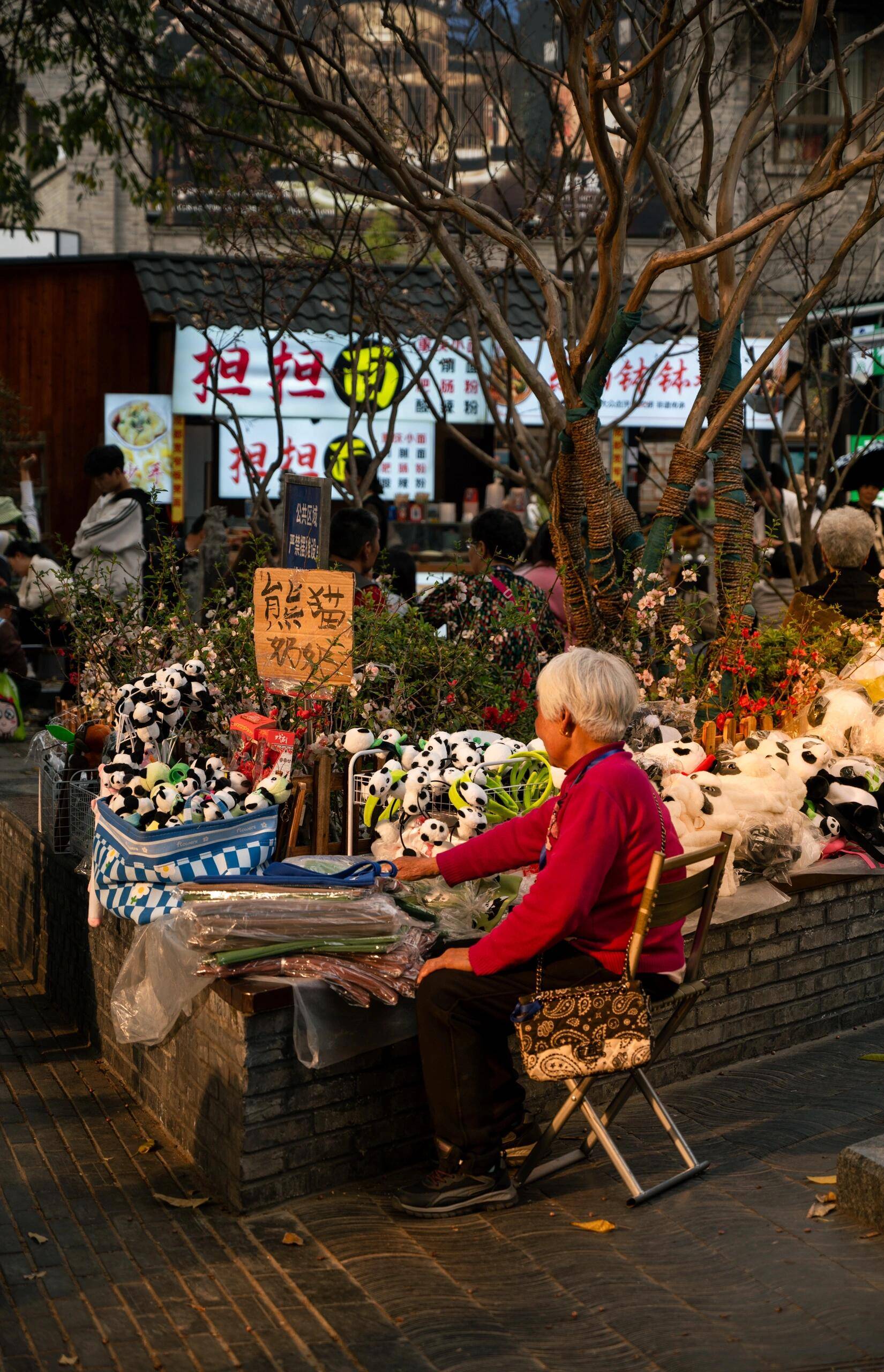 六安去四川旅游攻略,需要多少钱 (线路推荐 交通 门票 美食住宿)