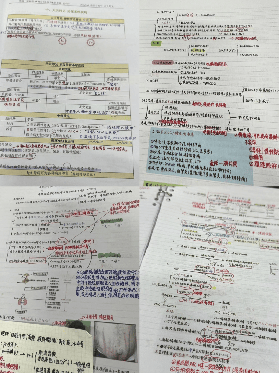 保障在朋友们心态爆炸时陈淑贤稳定的情绪及乐观的性格给择校时期迷茫