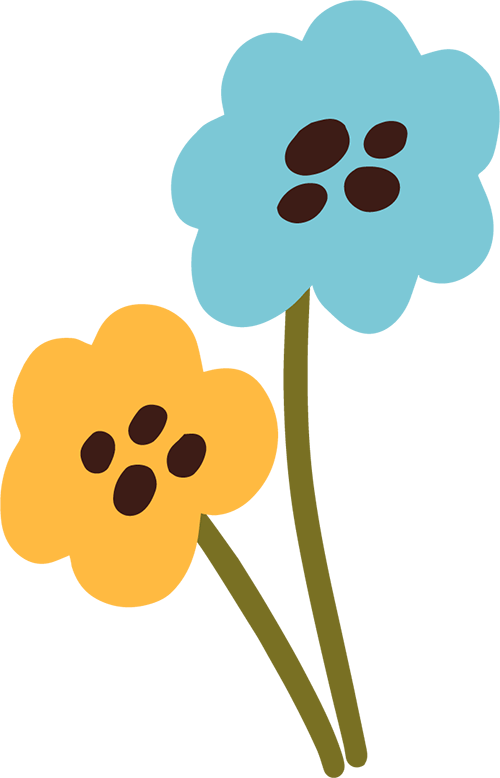 陇南:搬"忧居" 住"安居" 展"新颜"