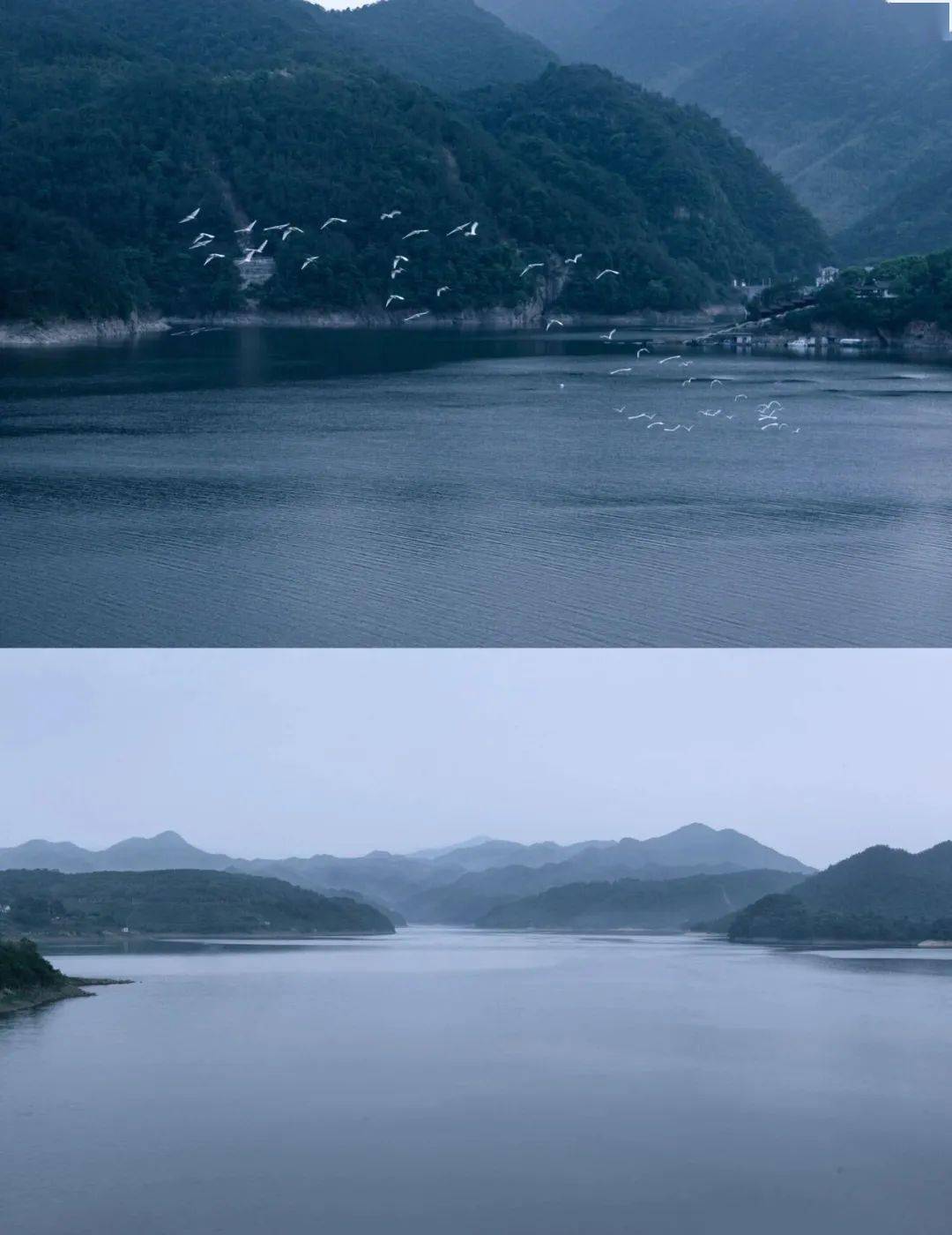 新昌_嵊州_汤包
