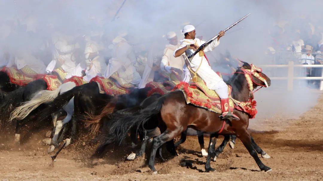 摩洛哥马业和马塔赛马节介绍