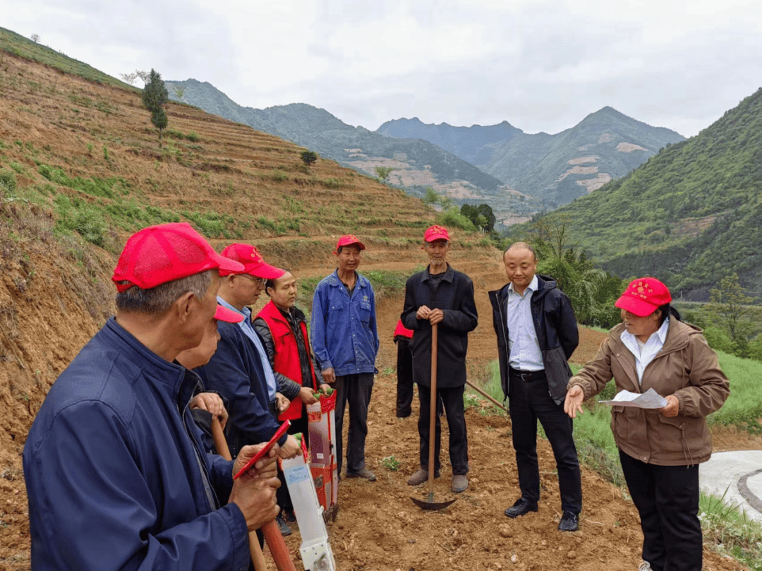 马蹄湾镇:盘活闲置资源,绘制乡村新"丰"景