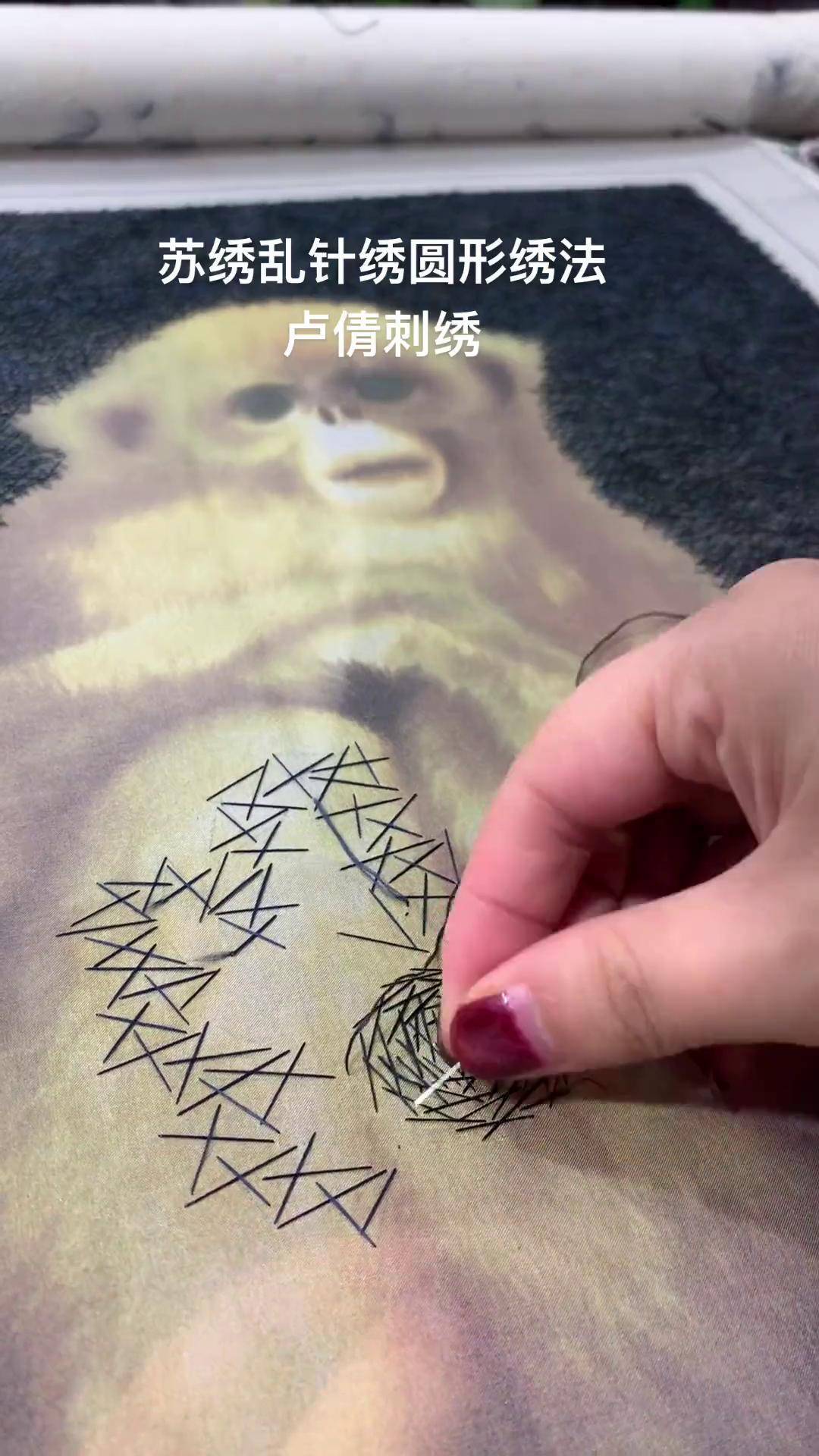 苏绣乱针绣圆形绣法,第三篇苏绣 苏绣传承 苏绣教程