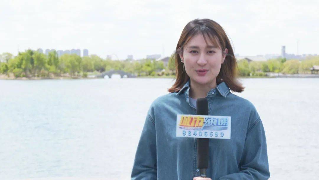 北湖公园夏日美景:柳堤画舫风清远 绿意盎然景如画