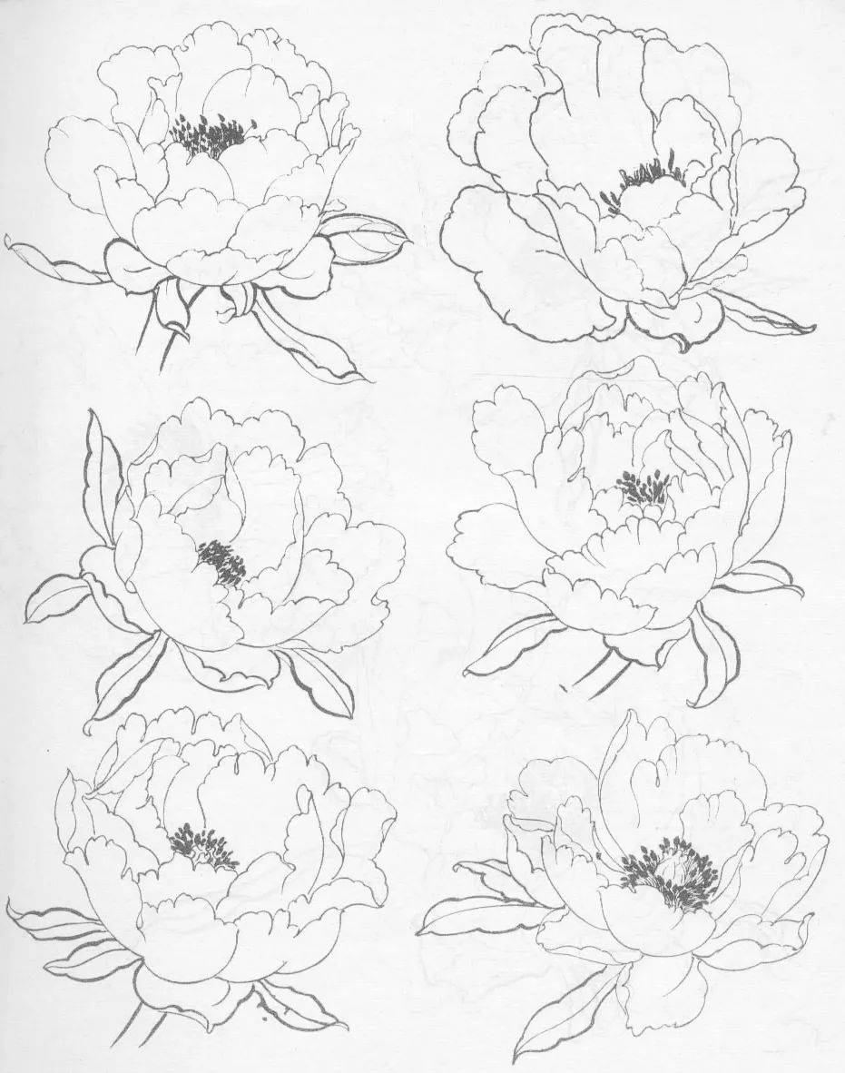 白描牡丹花头画谱