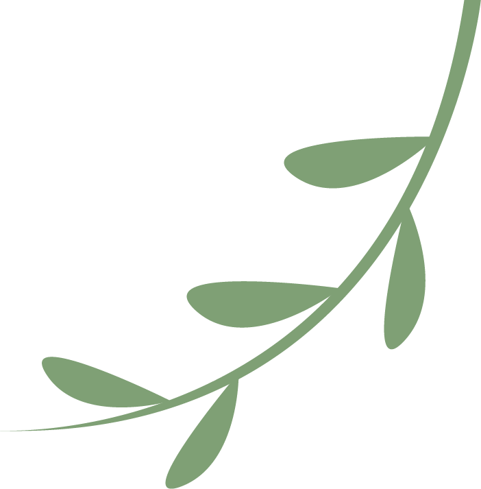 【梅郎创优】悦读悦动悦成长 润智润心乐启航——五(11)班的创优故事