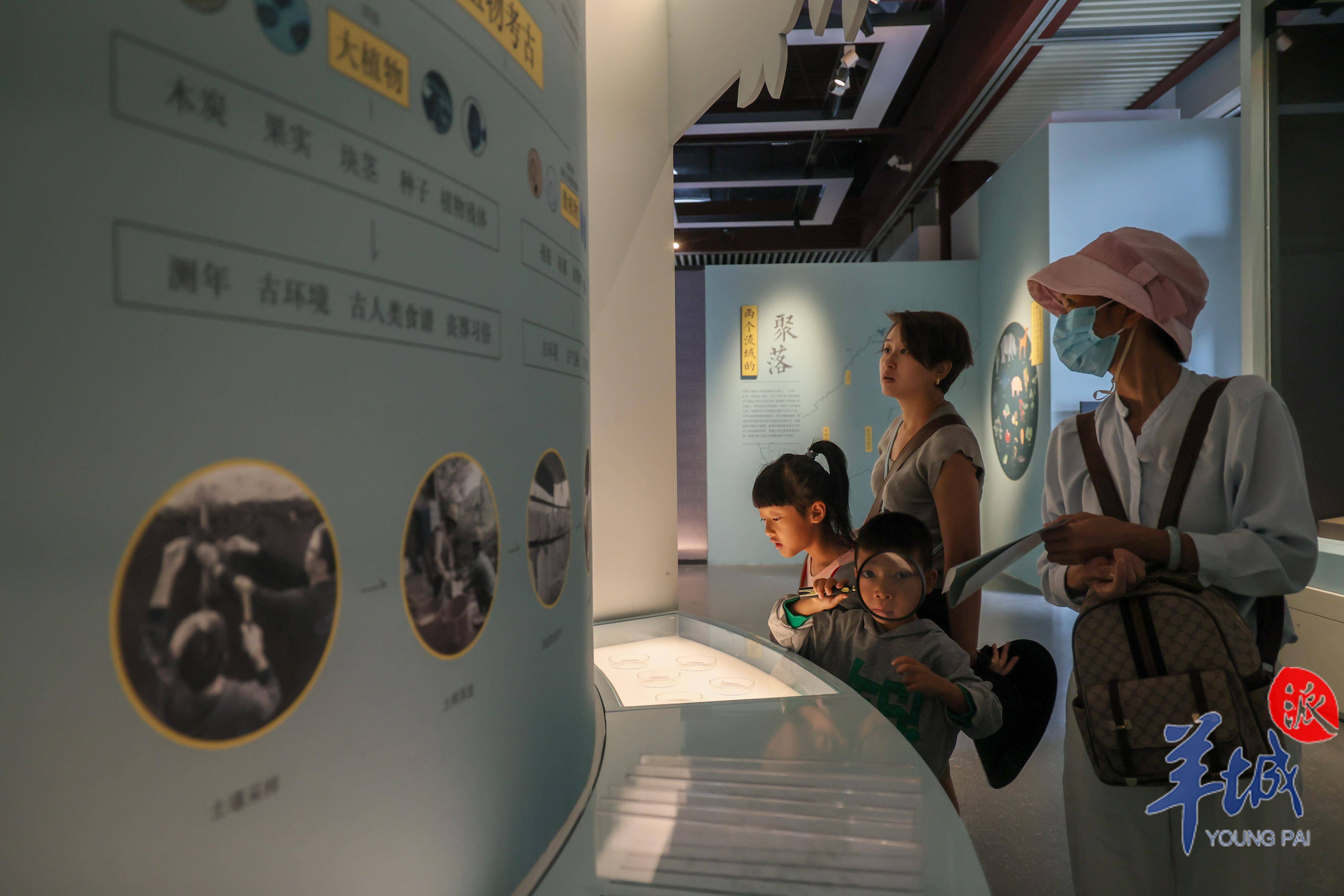 图集|"寻迹羊城——2023年广州考古新发现"展览在南汉二陵博物馆开展