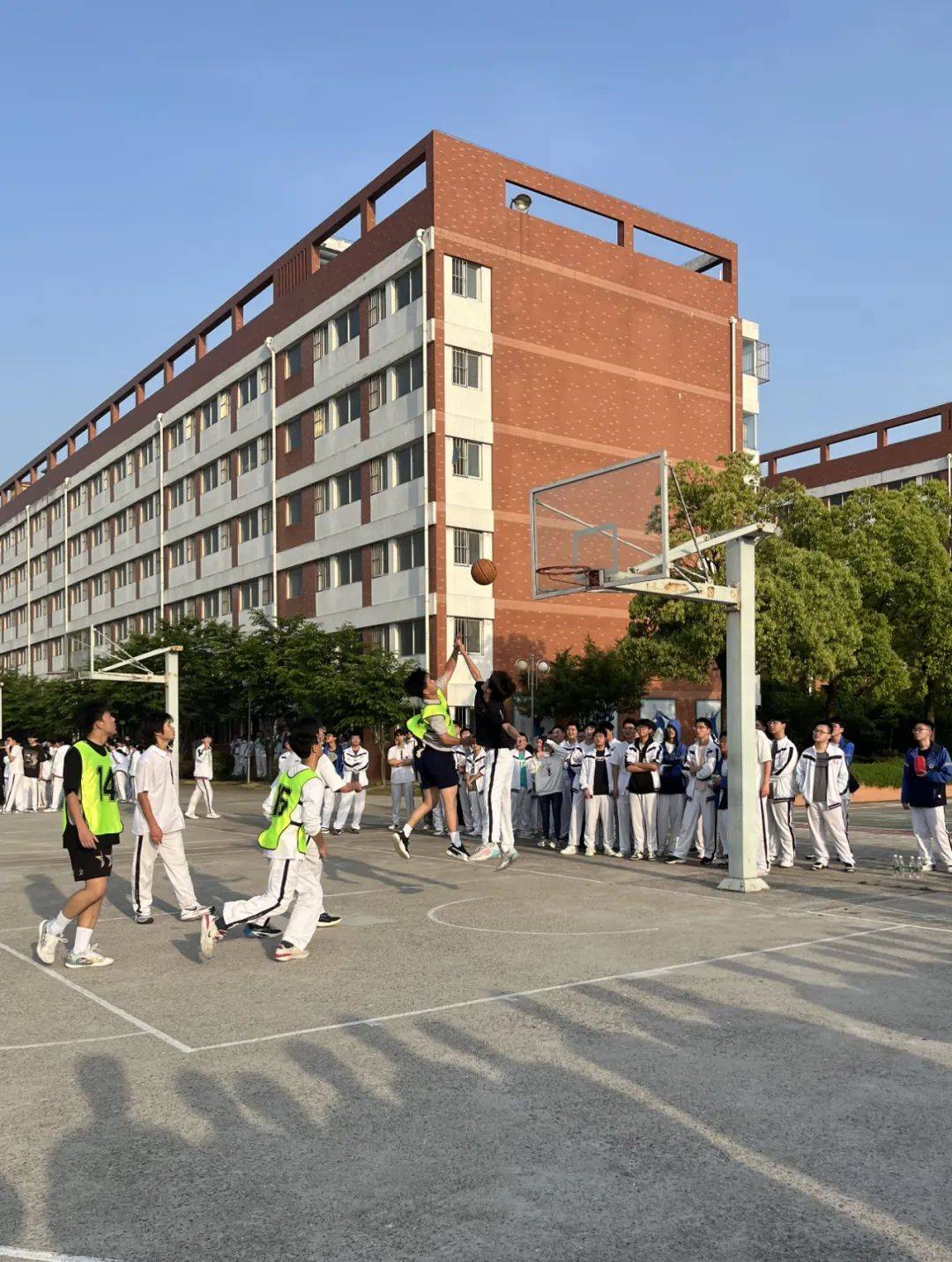 迎"篮"而上,勇者为强——春晖学校高二年级举行"春晖杯"篮球比赛