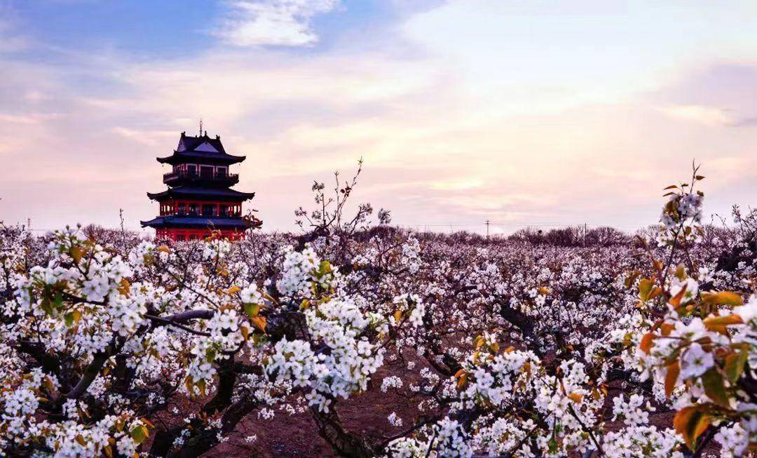 5·19中国旅游日盐城4a级以上景区免门票