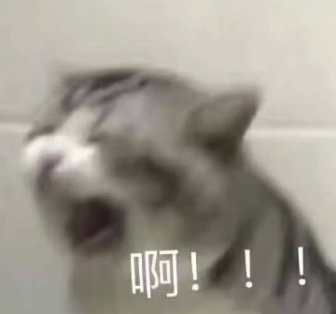 错题_题目_什么