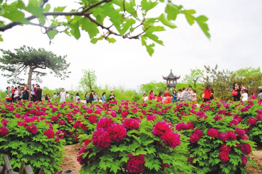 左权县开通的低空观光游项目备受游客青睐.