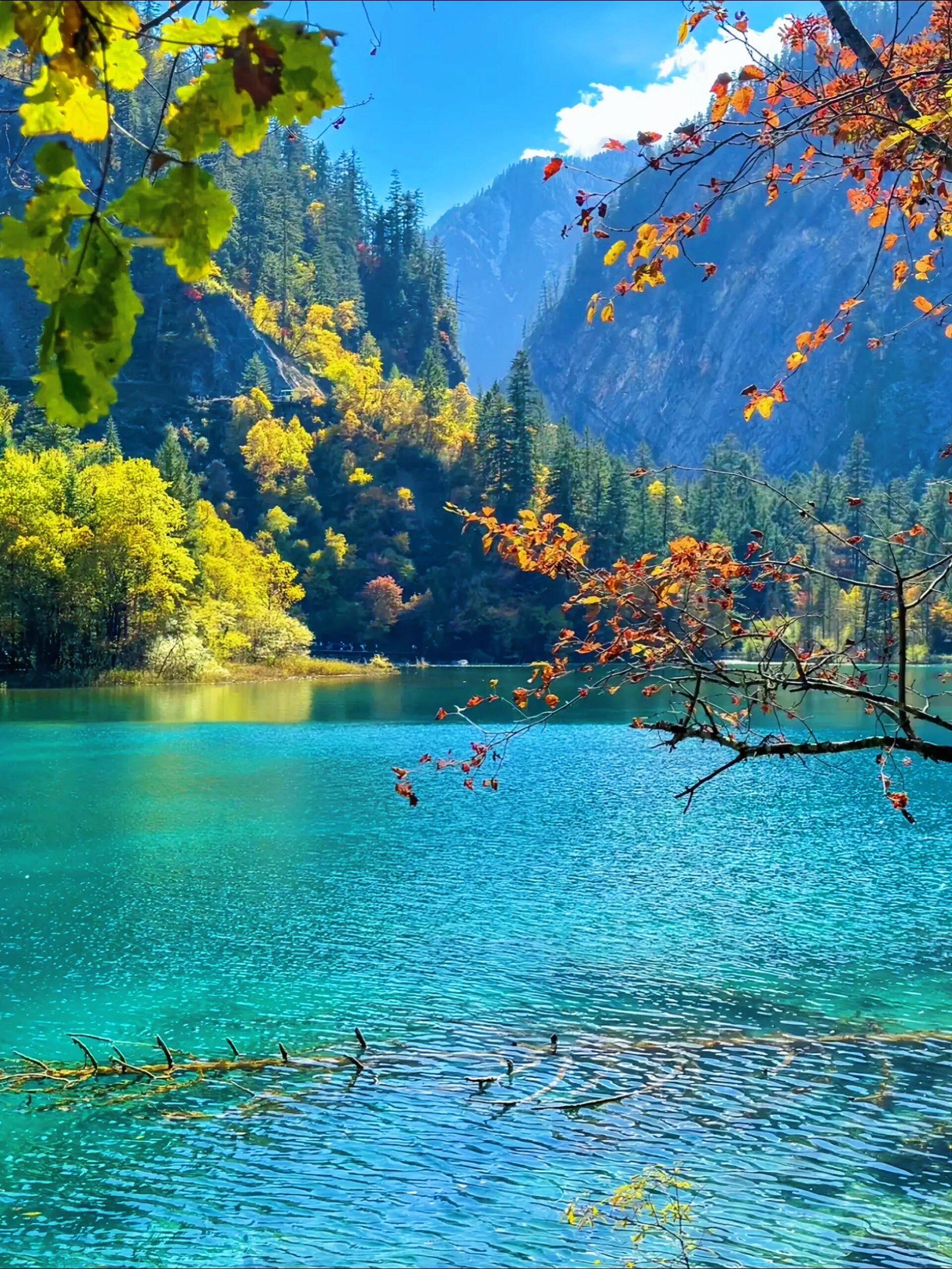 四川1日旅游攻略 ,本地人朋友做的攻略吓到了,太详细了