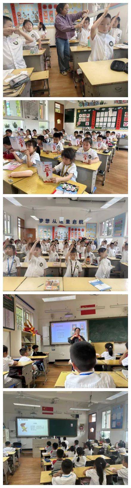 你好,红领巾!——庆元县实验小学一年级队前教育