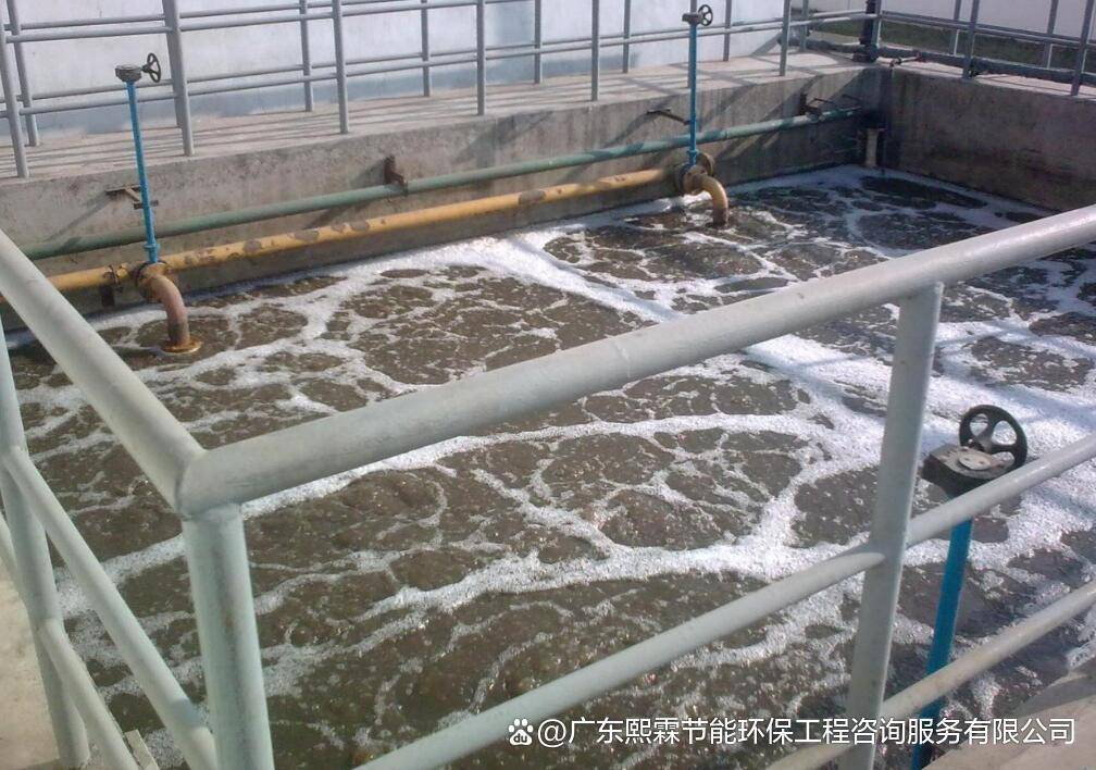 玻璃纤维废水处理方案_有机物_生产_进行