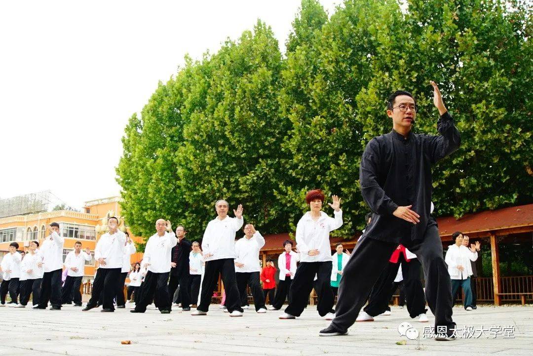 [明师85课堂](27)撇身捶五大要领细解,纠错及连环打法_大卫_武术_文化