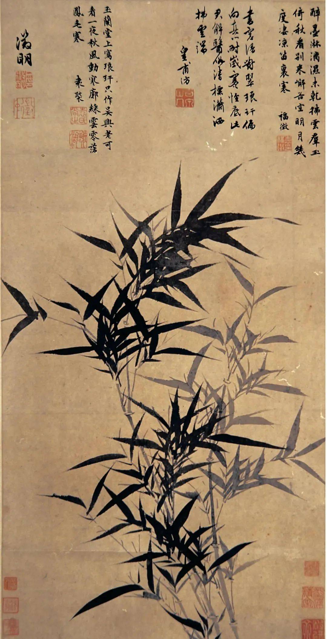 梅兰竹菊纹身图片