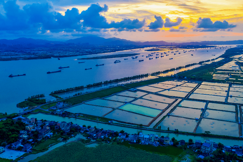 坦洲镇旅游景点图片