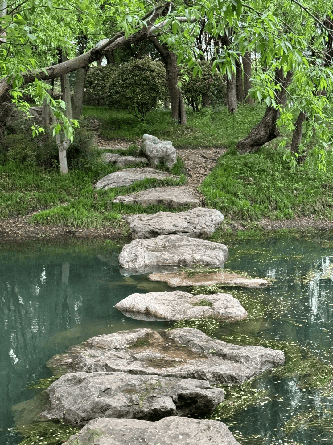 锡山凤凰山湿地公园图片