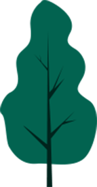 中国旅游日|美好夏日 畅游青秀_来源_文化_广西