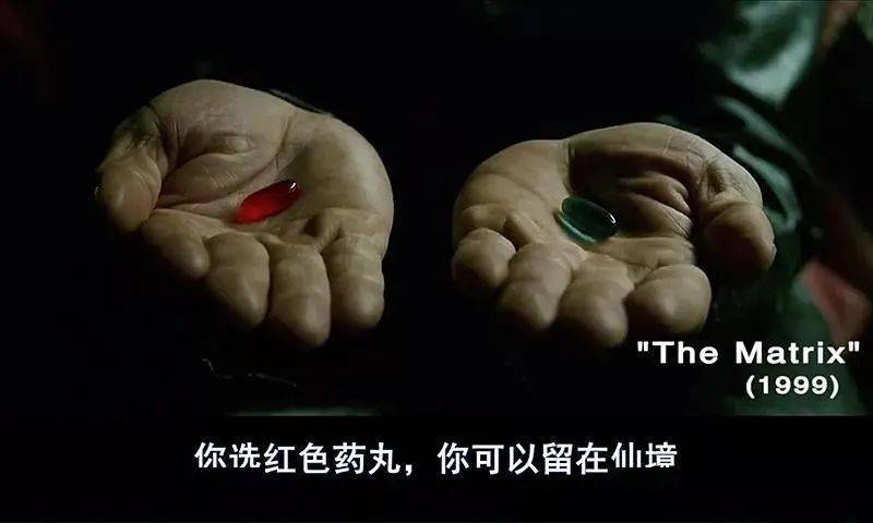扎克伯格的妹妹写了一本书,正面直怼"直男癌"_药丸_男性_the