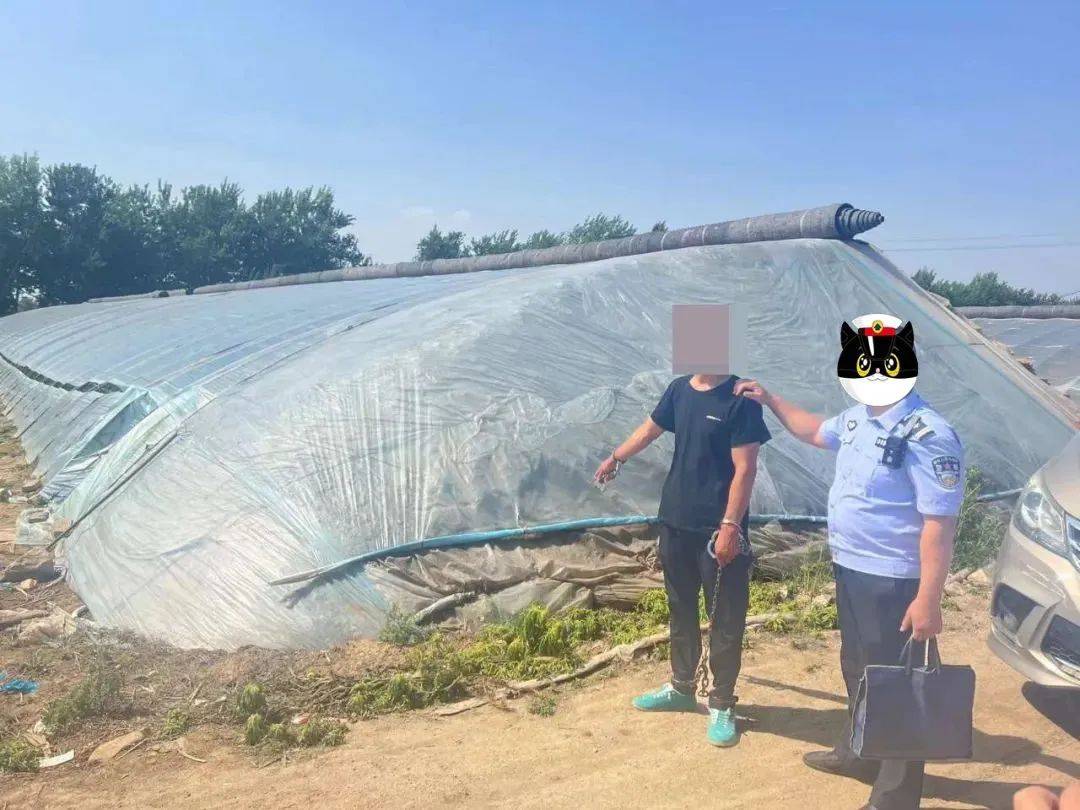 运城一男子偷大棚电线卖废铜被拘留.