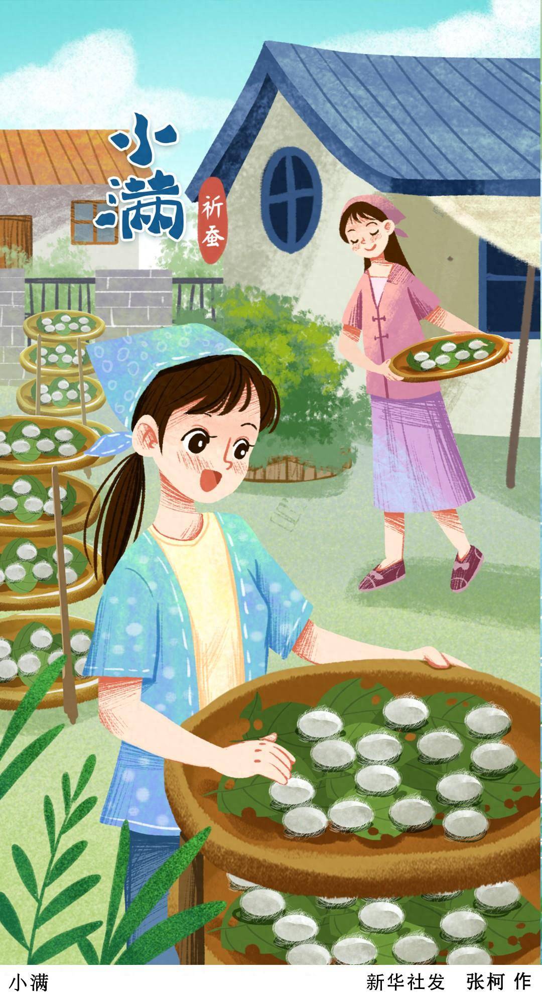 (图表·插画)二十四节气·小满|小满·祈蚕