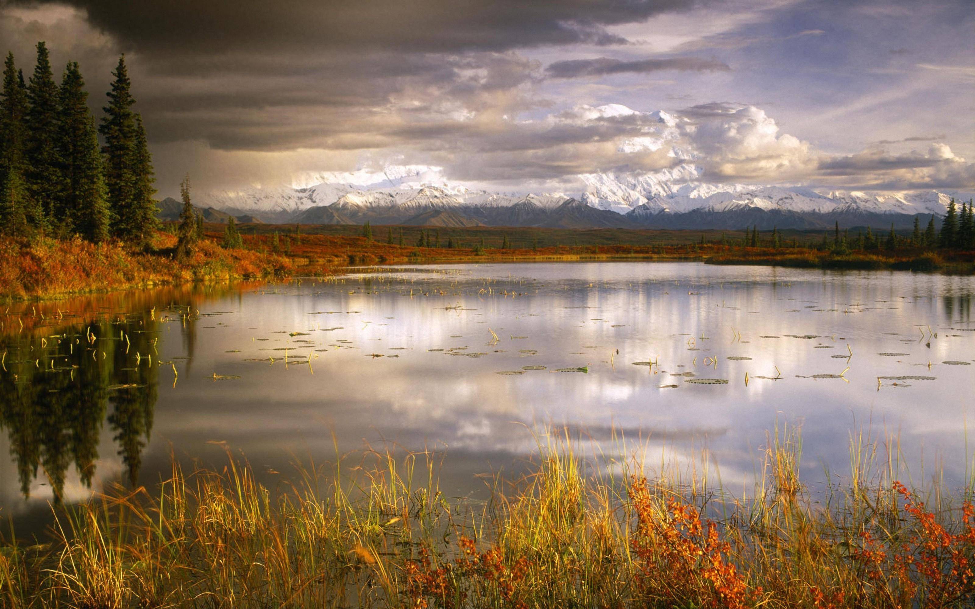 你觉得在感情不顺的时候,应该怎么做呢?