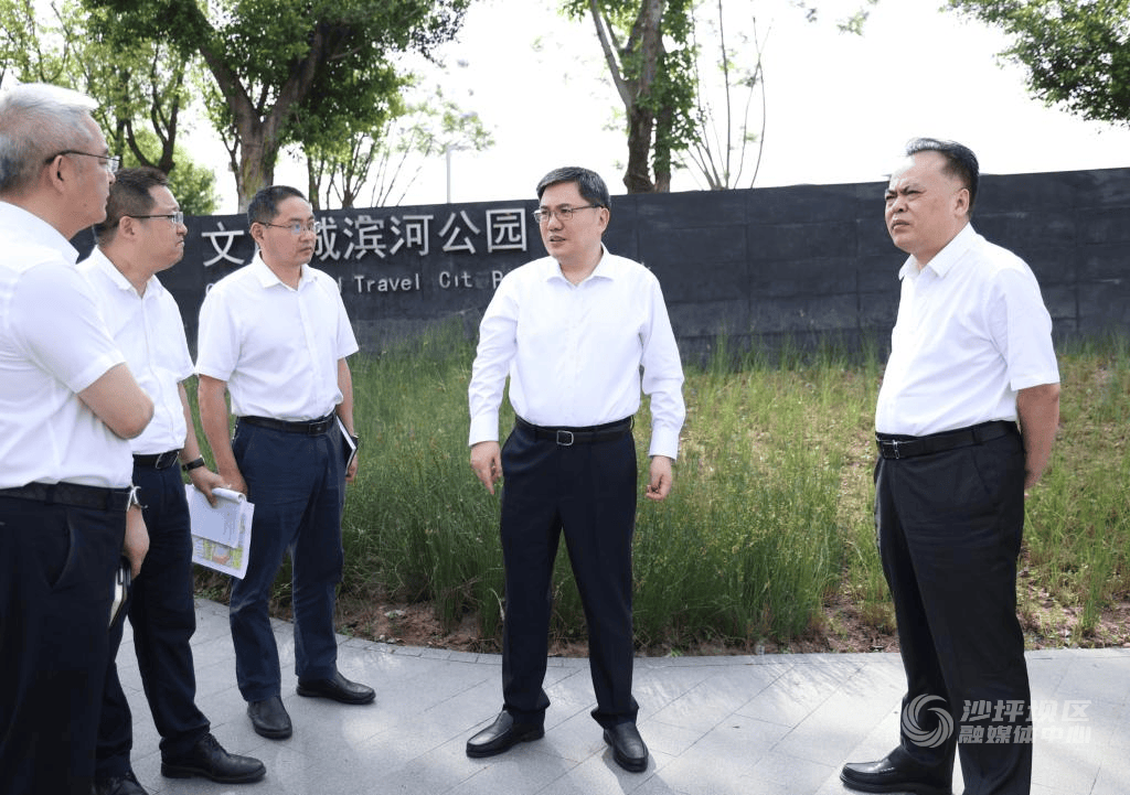 边督边改立行立改|沙坪坝区委书记唐小平调研检查中央生态环境保护