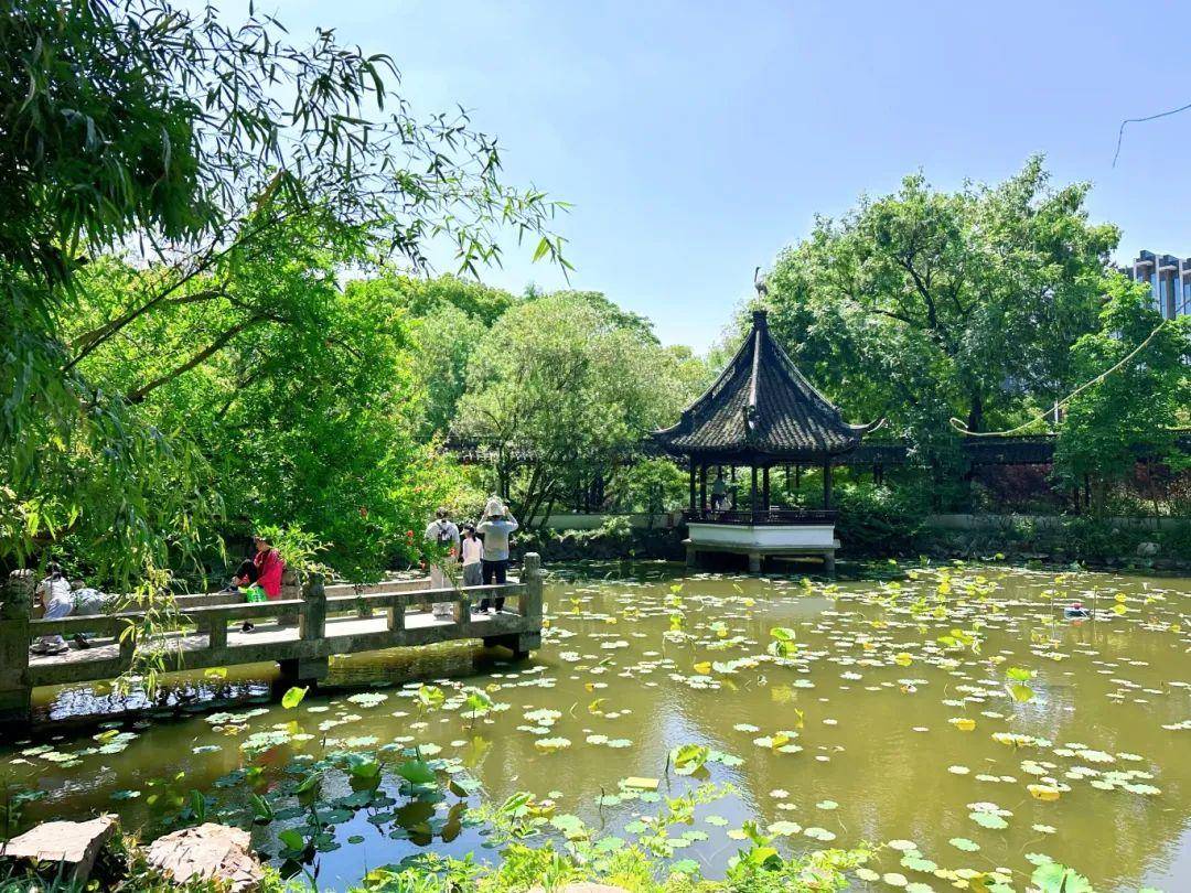 半价优惠吸引力强!"中国旅游日"松江各大景区游人如织