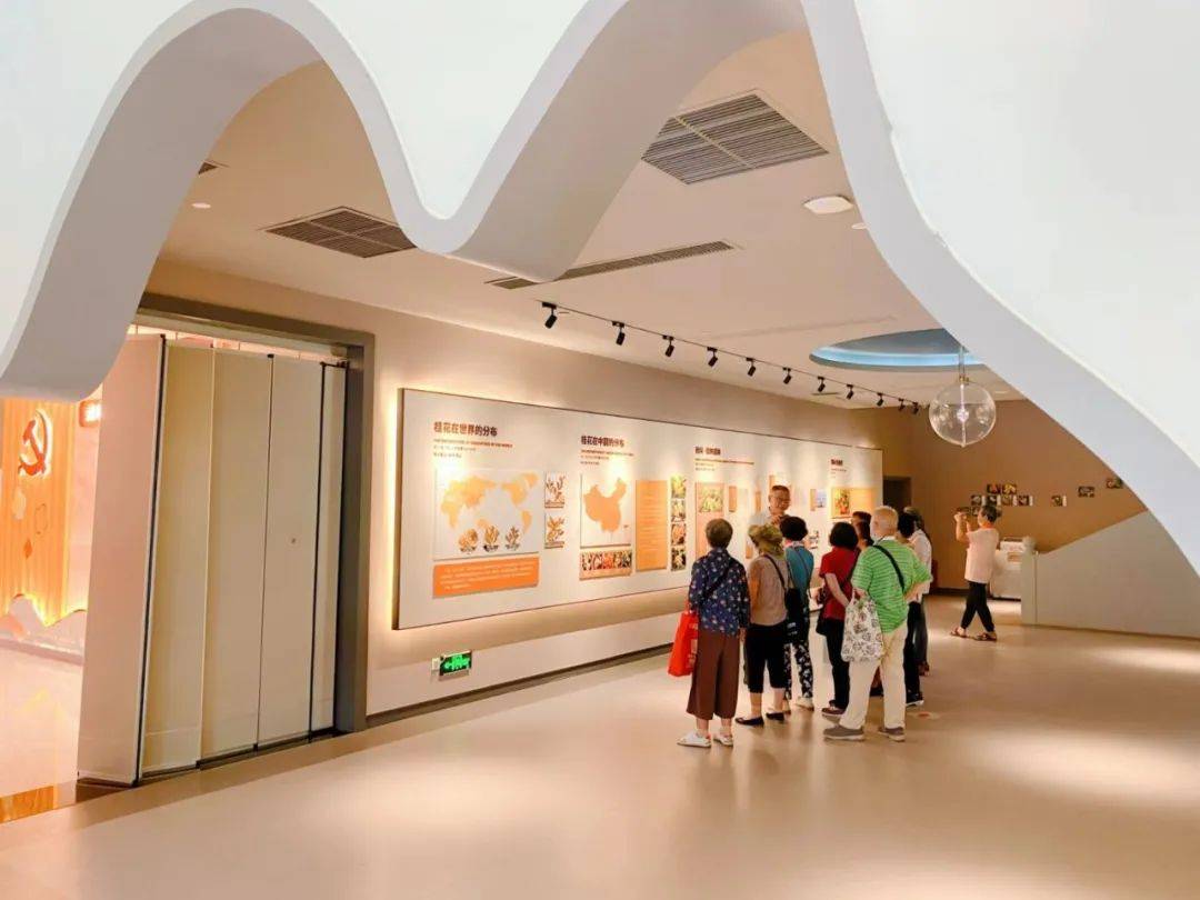 桂林市桂花公社带动农文旅融合发展观察