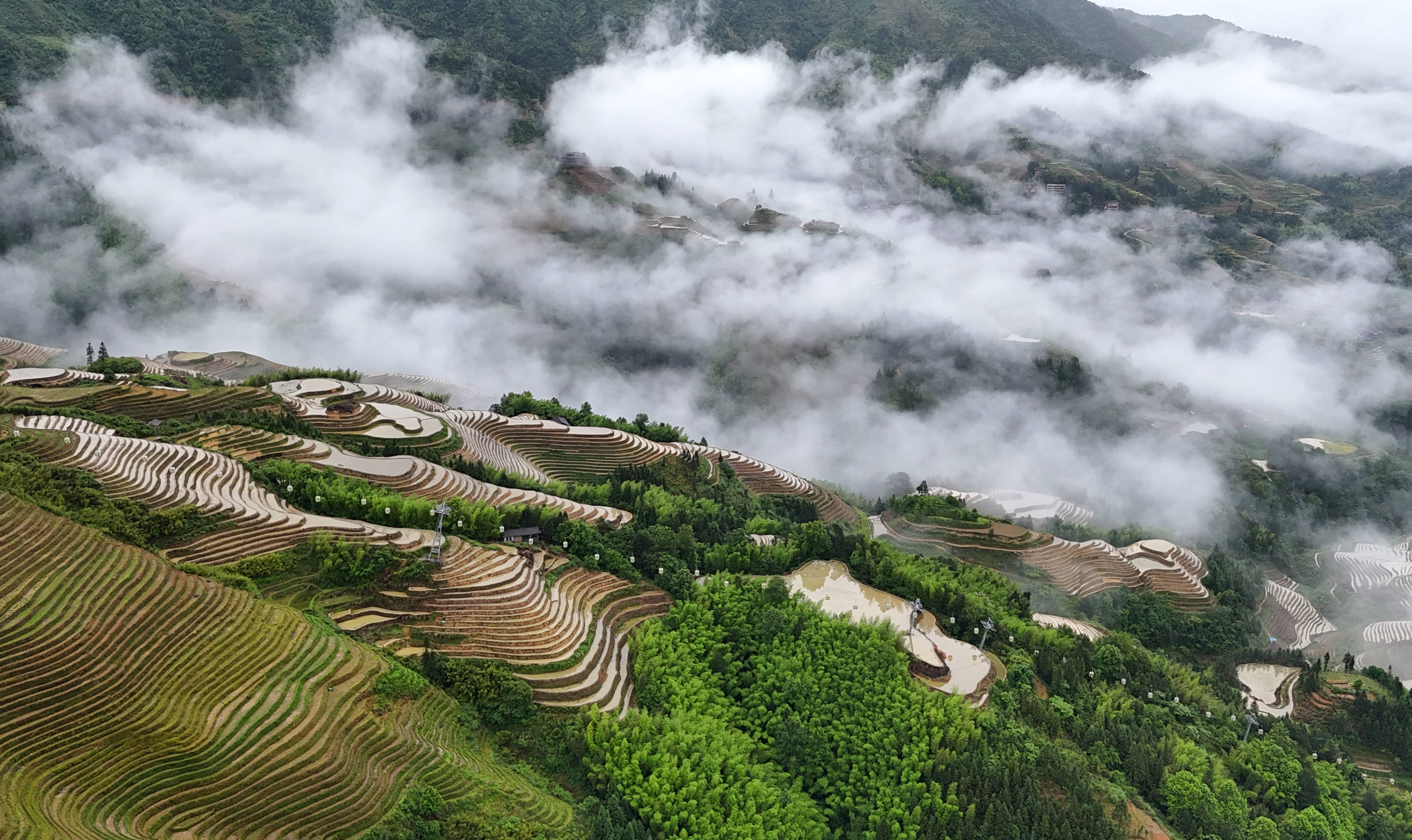初夏梯田 景致如画