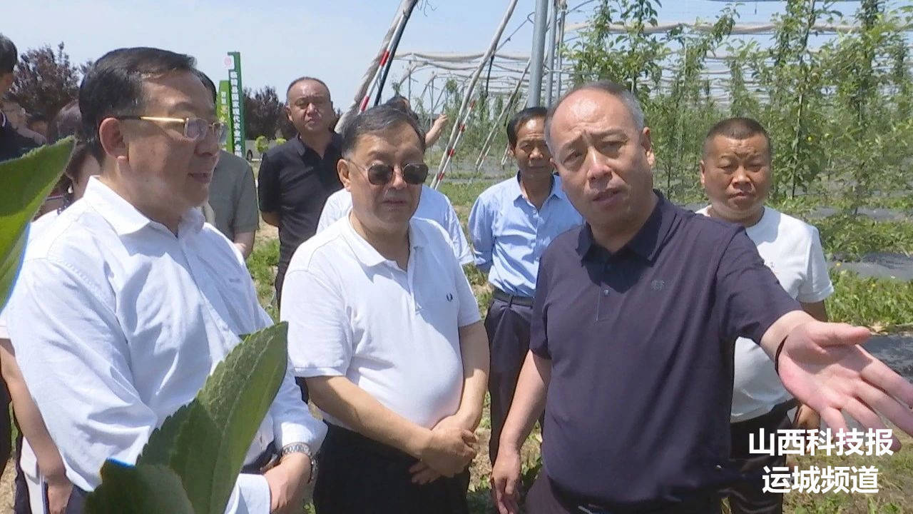 检查组在临猗县就《农业法》贯彻实施情况进行检查_顾昭明_科技_运城