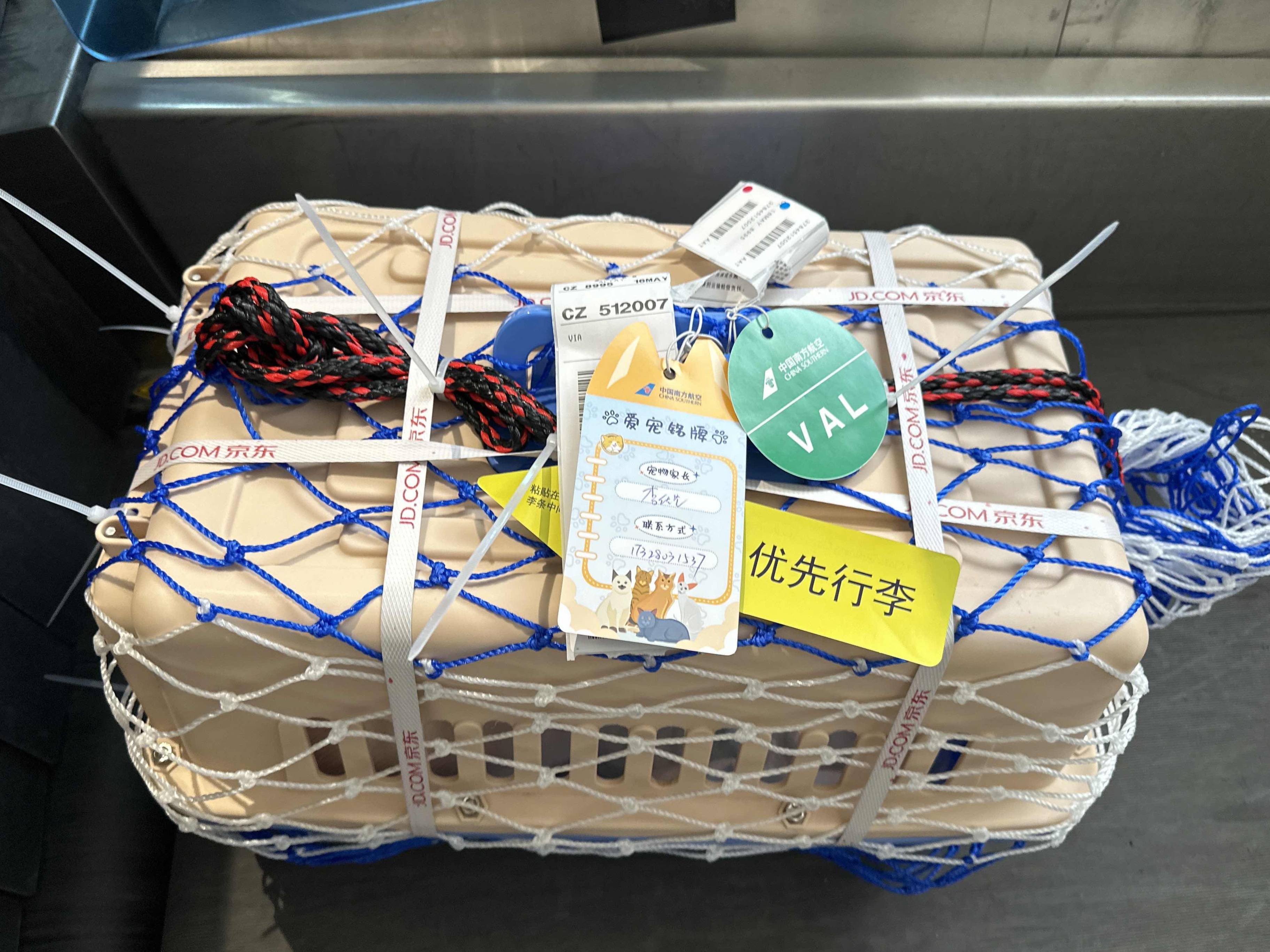 与主人同舱,有专门"候机厅" 宠物乘机出行花样迭出_服务_托运_运输