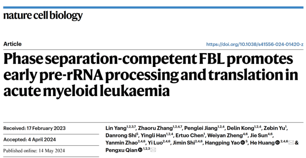 《自然》子刊:靶向核仁蛋白,浙大团队发现治疗白血病新策略