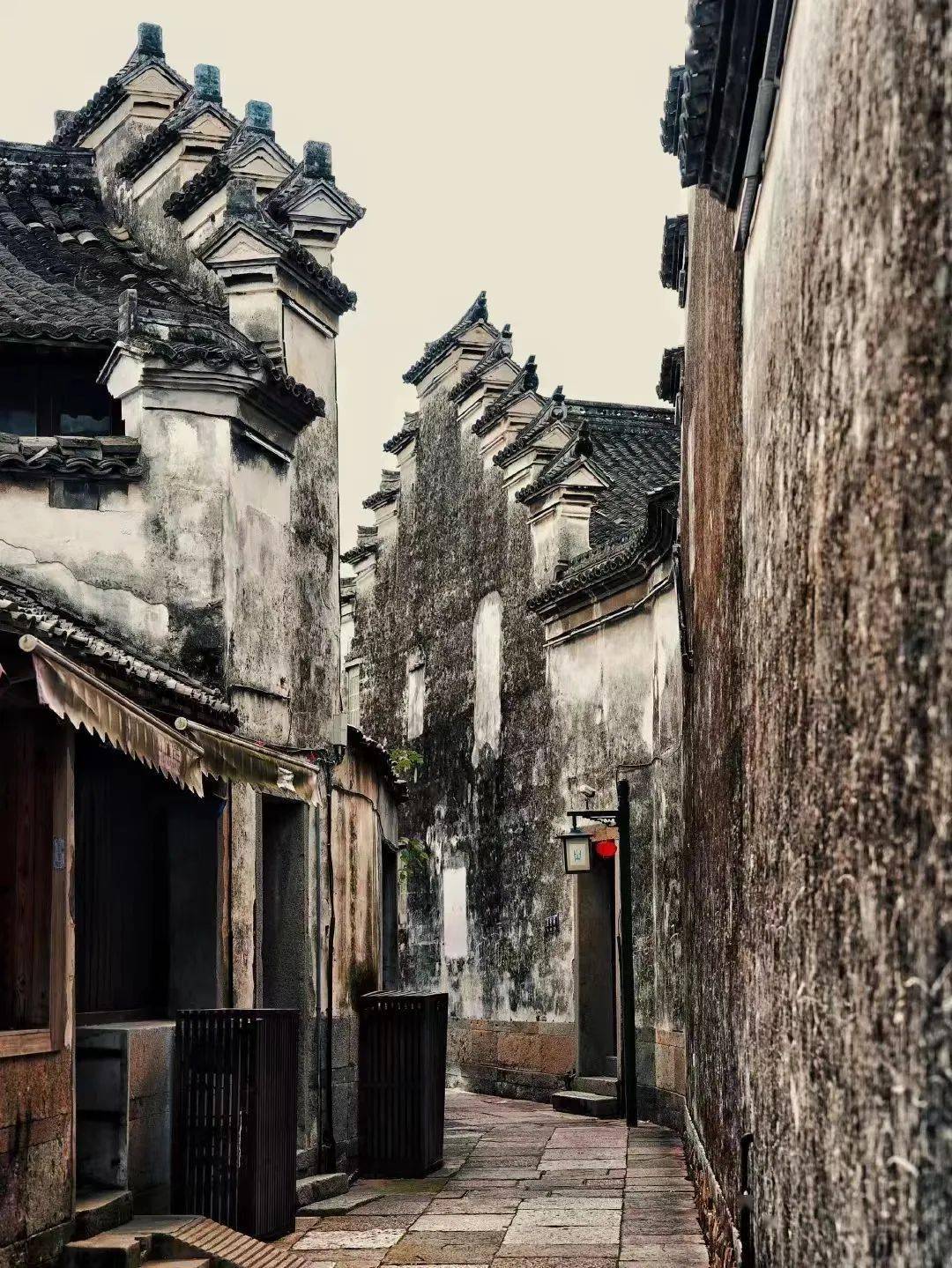 夏天均温23℃,一半向海,一半是山,这座杨梅味儿的