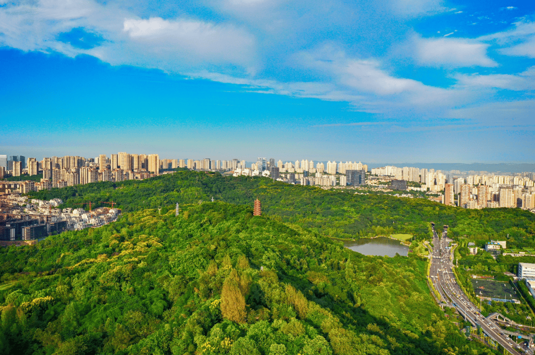 照母山肖家沟水库图片