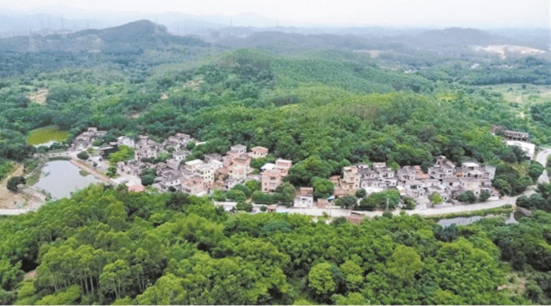 江门日报:党员群众齐上阵 美丽乡村入画来——鹤山市桃源镇中胜村推动