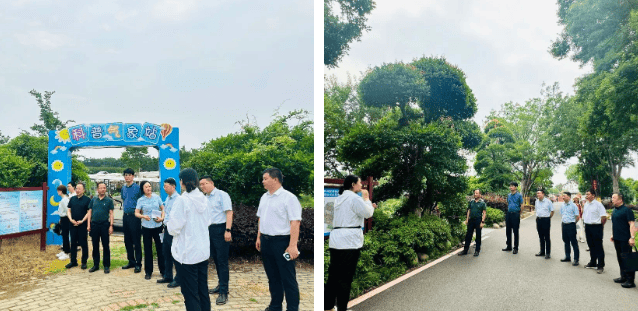 长江新区仓埠授牌!