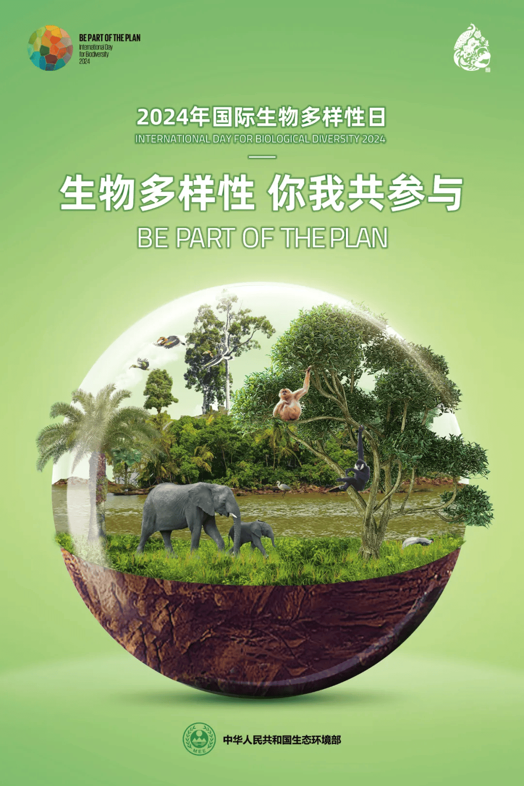 速看!生态环境部发布2024年国际生物多样性日主题海报和宣传片