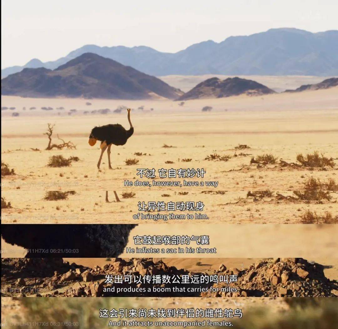 想上网找点刺激的恋爱,结果搜到了