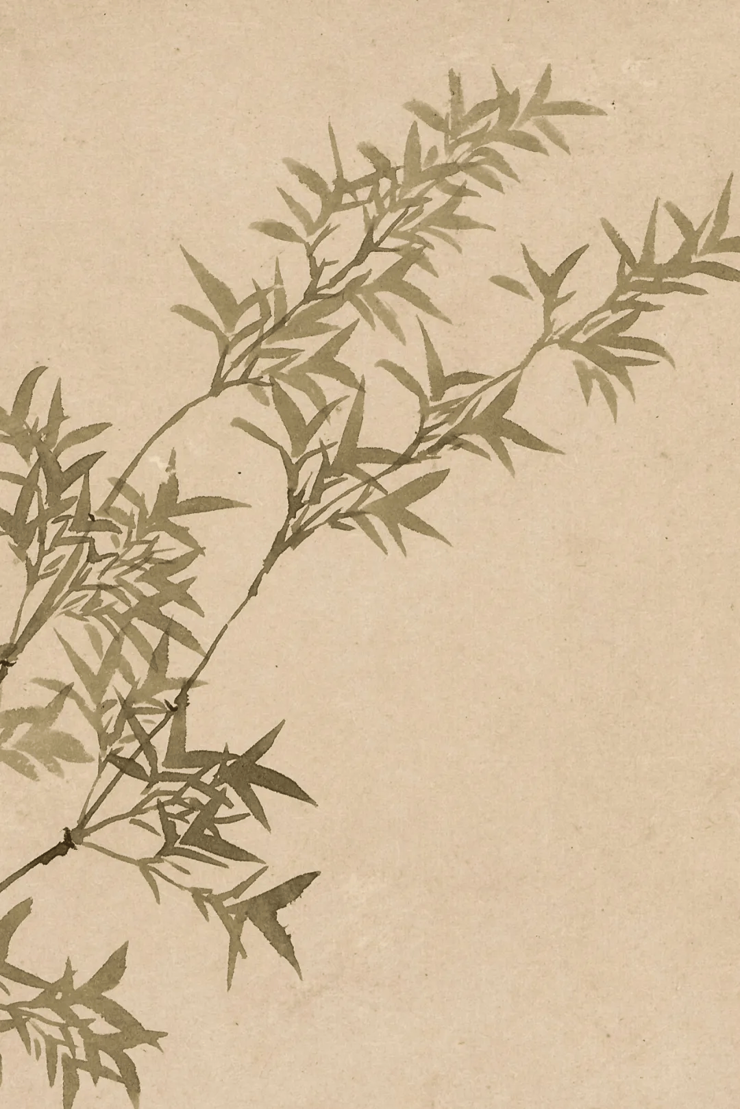 惟有萧然旧庭院,四时风雨得清音.己已暮春作于青杉旧馆.