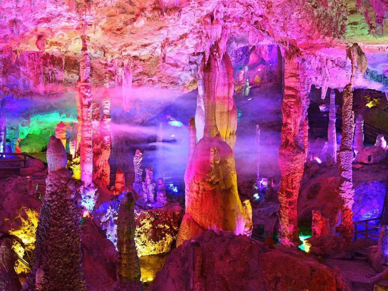 昆明世博园举办2024年云南省5.22国际生物多样性日主题活动