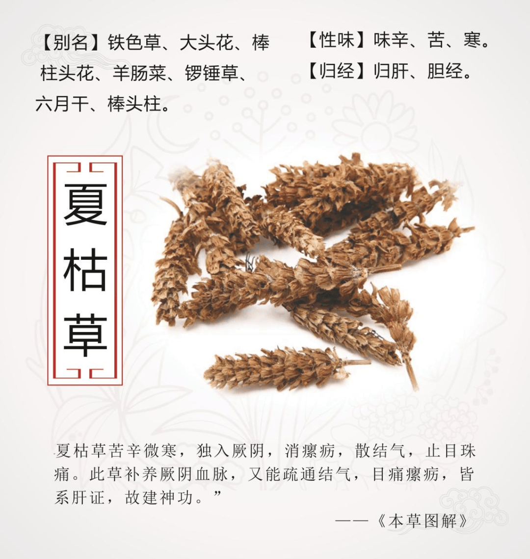 中药小故事 每天认识一味药