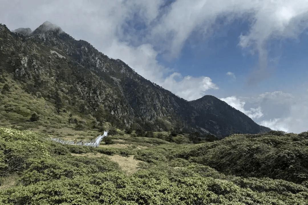 苍山壁纸图片