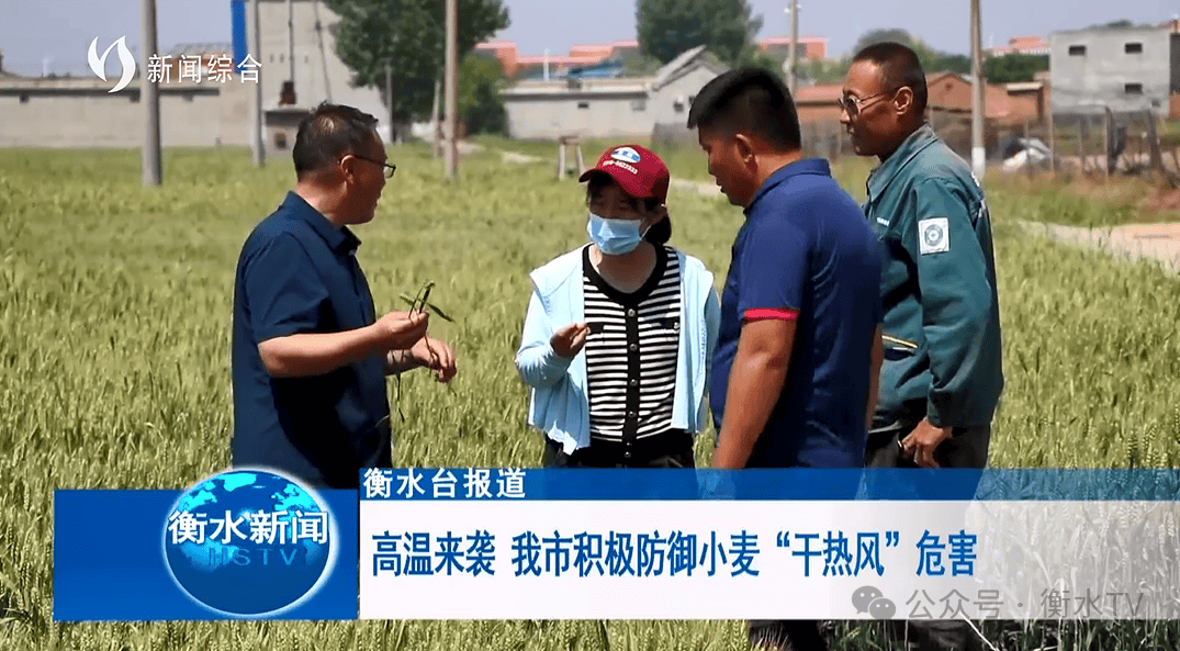 记者/陈娜 仁博编辑/杜杰 魏媛编辑:贵祥【衡水广播电视台新媒体】以