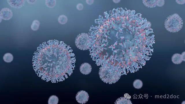 我国本土已监测到kp.2新冠变异株!_同源_分支_病毒