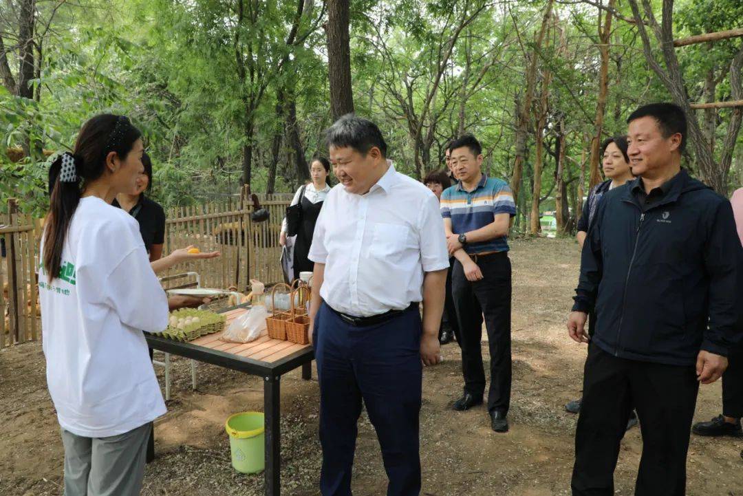 调研组一行来到嗨森亲子乐园,北七家镇党委书记戈娜向调研组介绍了