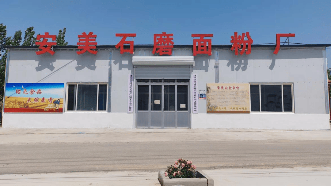 【支部领办合作社】商河县殷巷镇安美村:发展石磨面