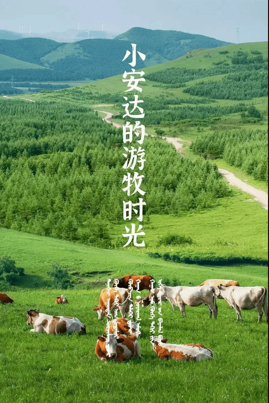 内蒙古双飞 | 在沙漠,草原肆意撒欢,追长河落日,踏漫天星河