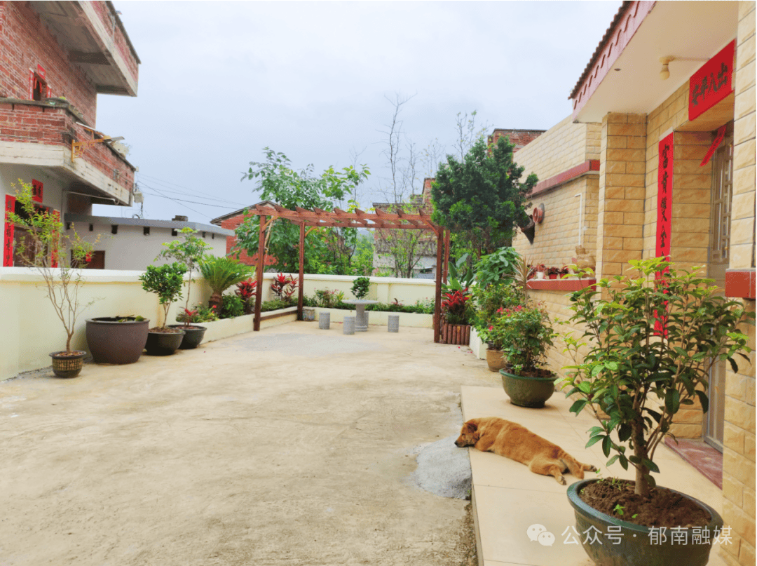 "美丽庭院"接力"晒"丨郁南:庭院"小美"绘就乡村"大美"